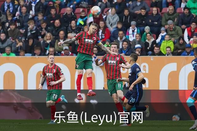 乐鱼(Leyu)官网公司简介